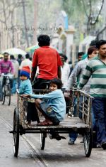 That Is Their Way Of Travelling